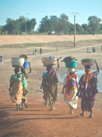 Women carrying water outside Mopti © Bryony Sheamur Photography