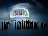 A glimpse of the world's largest ice grotto in Saas-Fee © Creative Commons / Random Activity