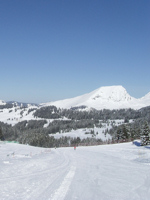 Avoriaz has a dedicated children's ski area © Creative Commons / mild swearwords