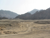 Enjoy a day trip into the Sinai desert © Creative Commons / Argenberg