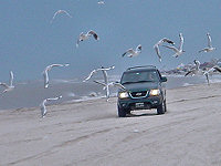 4x4 on Pinamar © Creative Commons / RogerBits