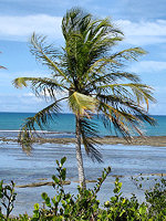 Praia do Espelho © Creative Commons