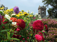 Sark © Creative Commons / foilman