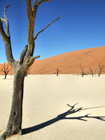 Sossusvlei, Namibia © Kieran Maartens