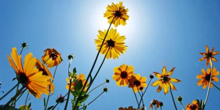 Top 5: Spring destinations