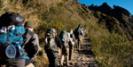 Blaze a trail to Peru's Machu Picchu © Creative Commons / Christian Haugen