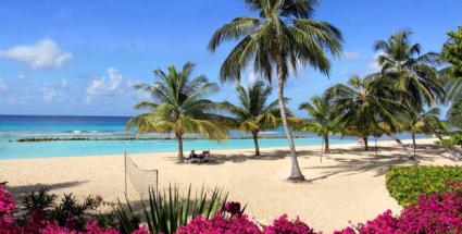 Beguiling hotel beachfront © Coconut Court Beach Hotel