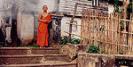 Novice in a monastery in Luang Prabang, Laos © Creative Commons / Ahron de Leeuw