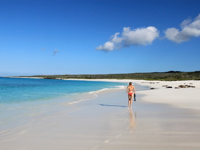 The white-sand Gardner Beach in the Galápagos Islands 
