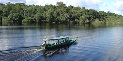 Board a boat tour in Manaus and discover the Amazon