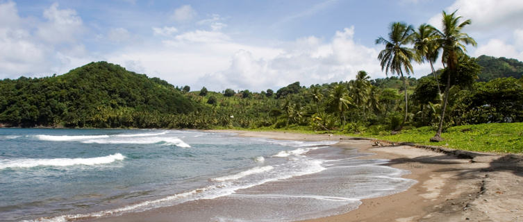 Anse Quanery Beach, Dominica