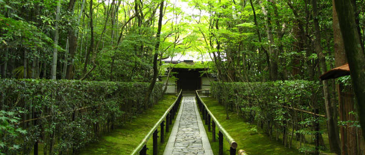 Bamboo forest entrance to Daitoku-ji temple, Kyoto, Japan
