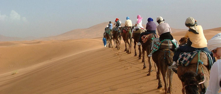 Camel riding in Morocco's Sahara desert