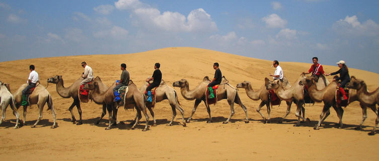 Camel trekking in inner Mongolia