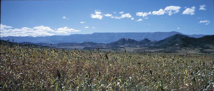 Crop in landscape, Lalibela, Ethiopia