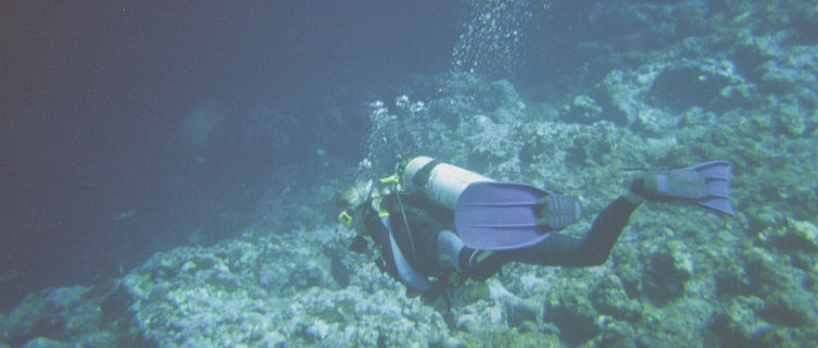 Dive in Rota in the Mariana Isles