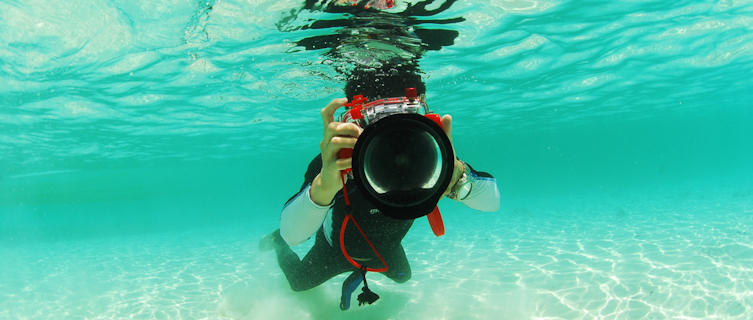 Enjoy diving in Palau