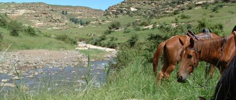 Go pony trekking in Lesotho