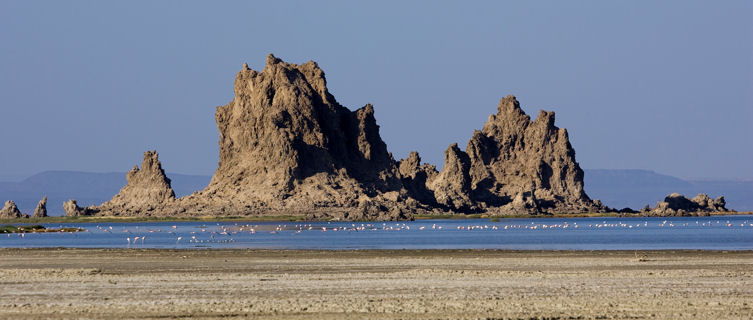 Lac Abbe Flamingos and Rock Formation, Djibouti