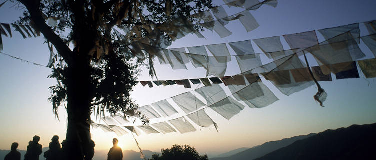 Monks with prayer flags, Nepal