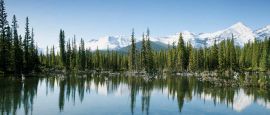 Alberta is paradise for nature lovers