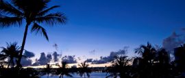 Morning star in Guam