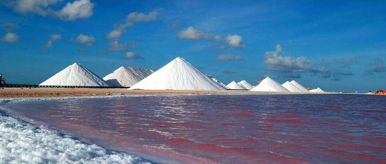 Salt pans of Bonaire