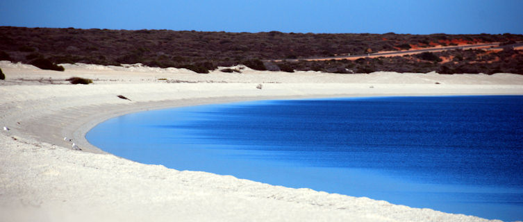 Shell beach, Western Australia