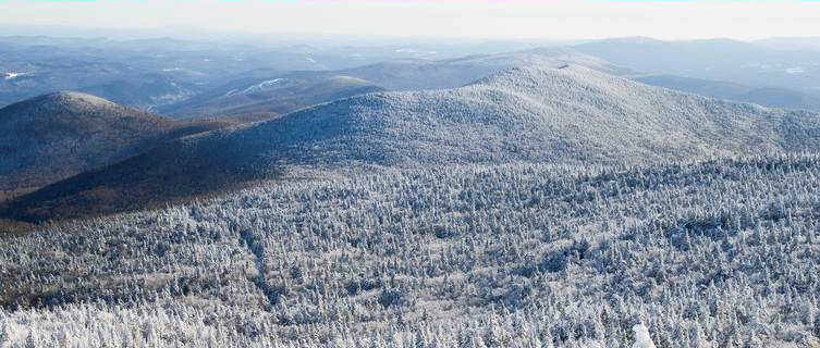 Snowy woodland in Vermont