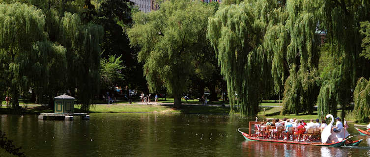 Swan Boats on the Boston Common