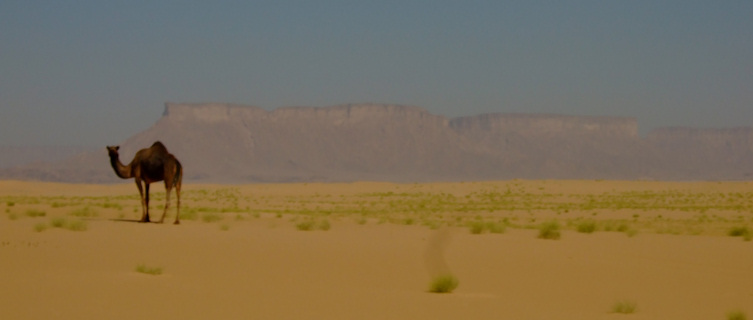 Yemen desert