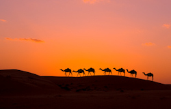 Sunsets in Oman are the best Alastair has seen