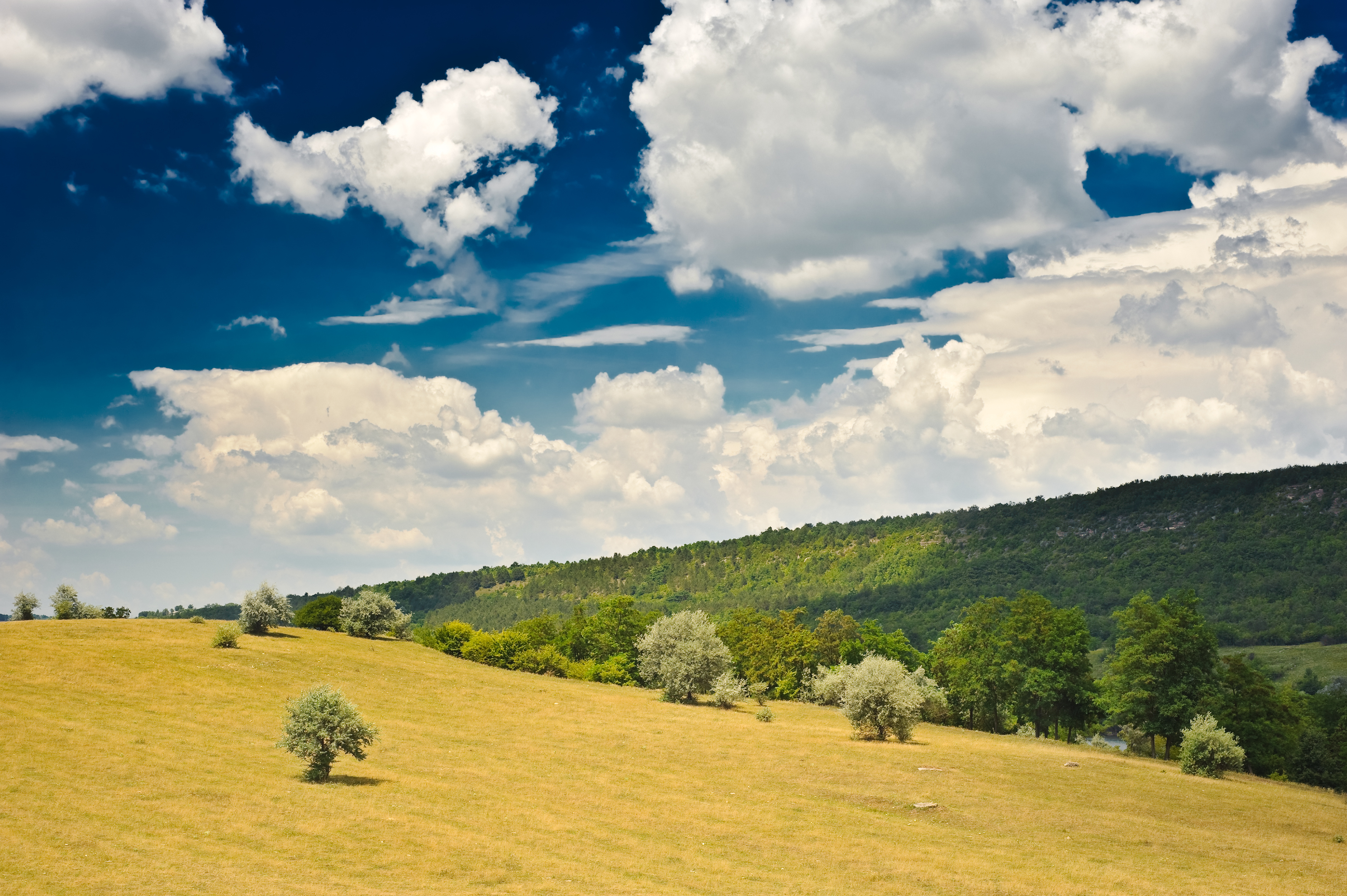 Moldova's forests are a huge draw