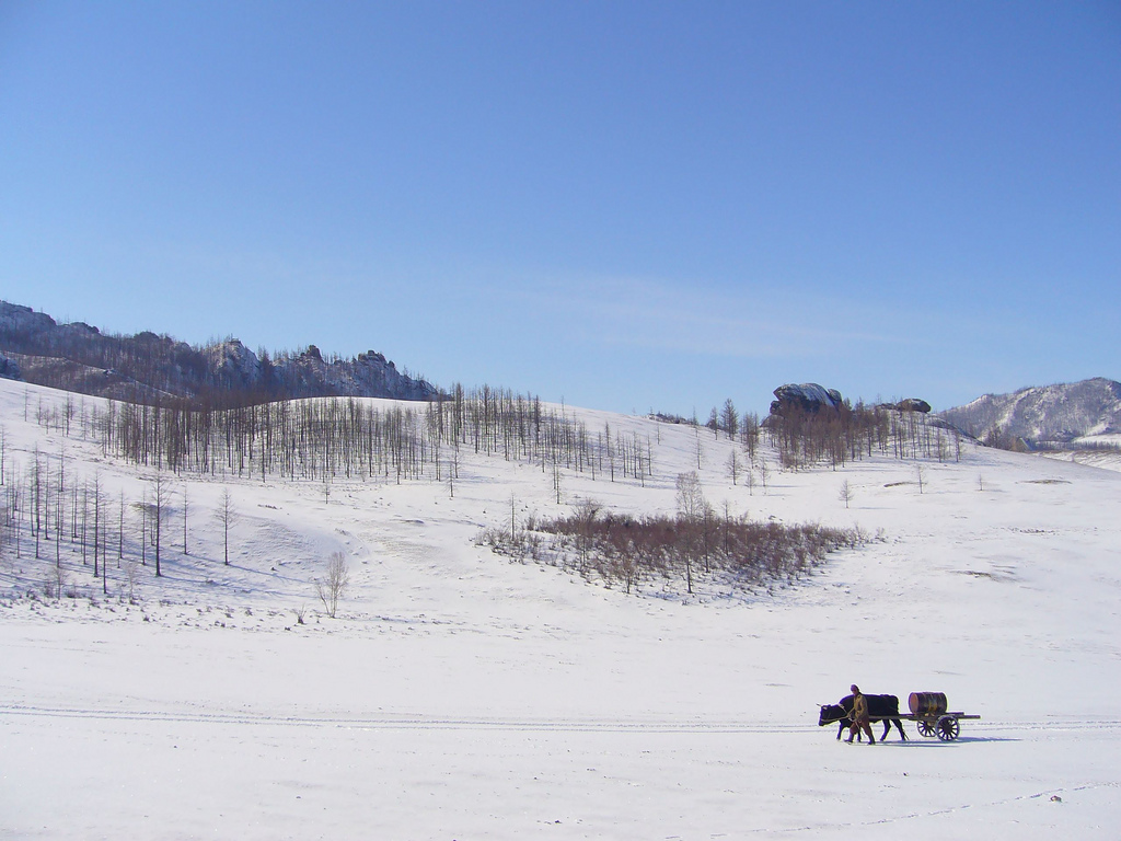 Winter in Gorkhi-Terelj National Park