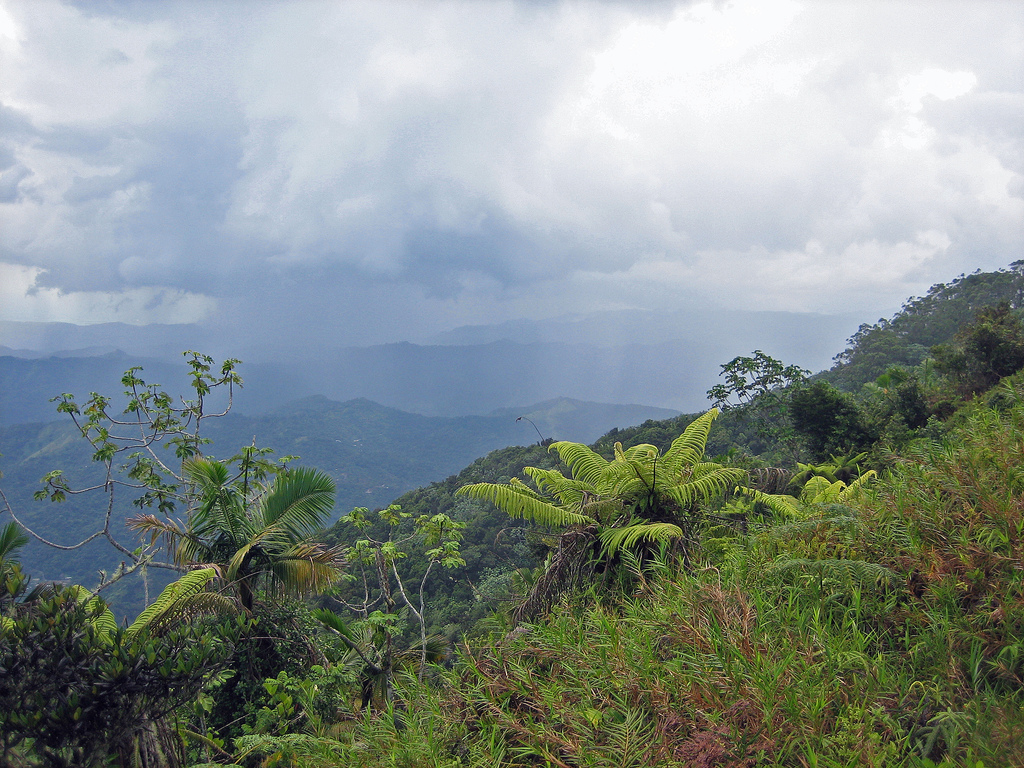 South shore from Puerto Rico's Jayuya mountains