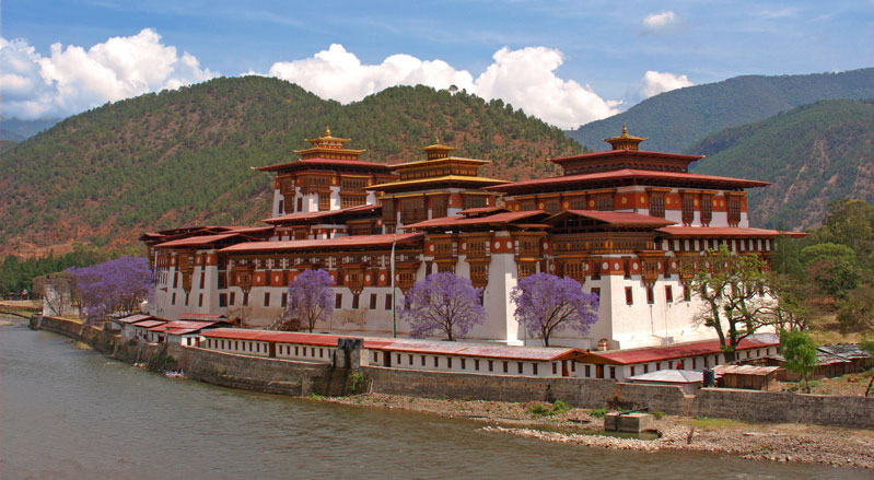 Elephant Hill, Punakha, Bhutan