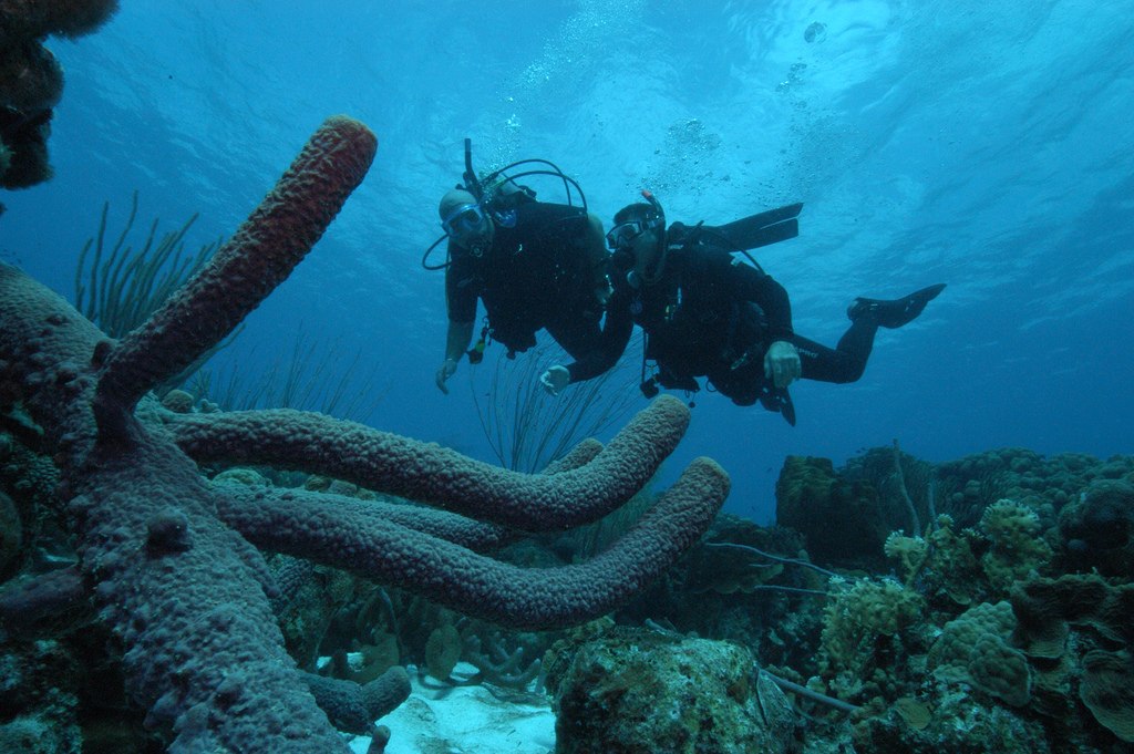 Bonaire is a famous diving site
