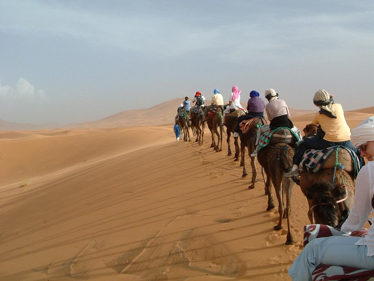 Camel riding in Morocco's Sahara desert