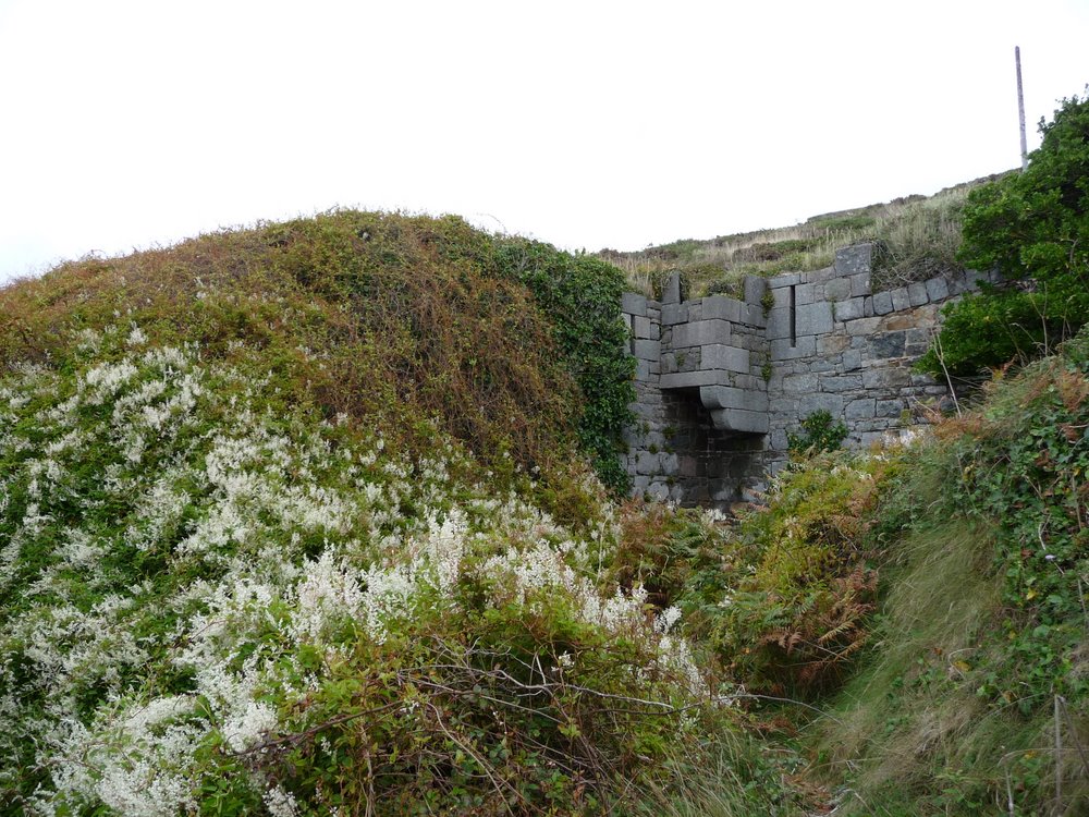 Overgrown fort, Alderney