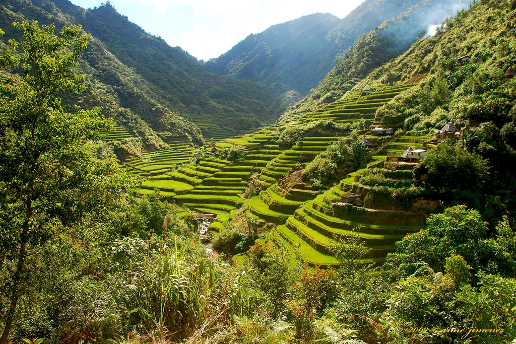 Philippines rice terraces