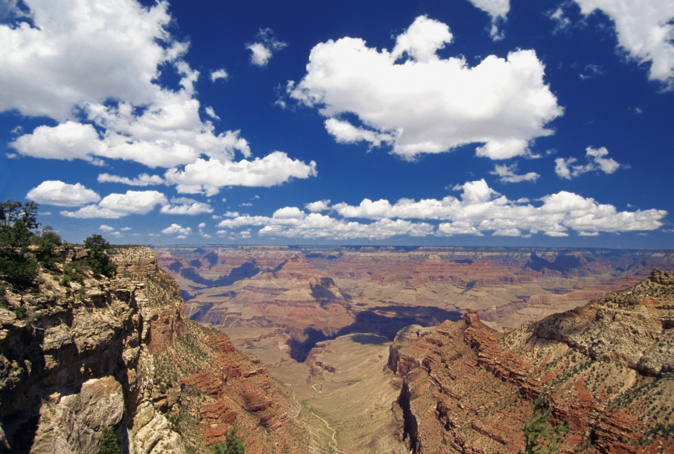 Go on a day trip to the Grand Canyon