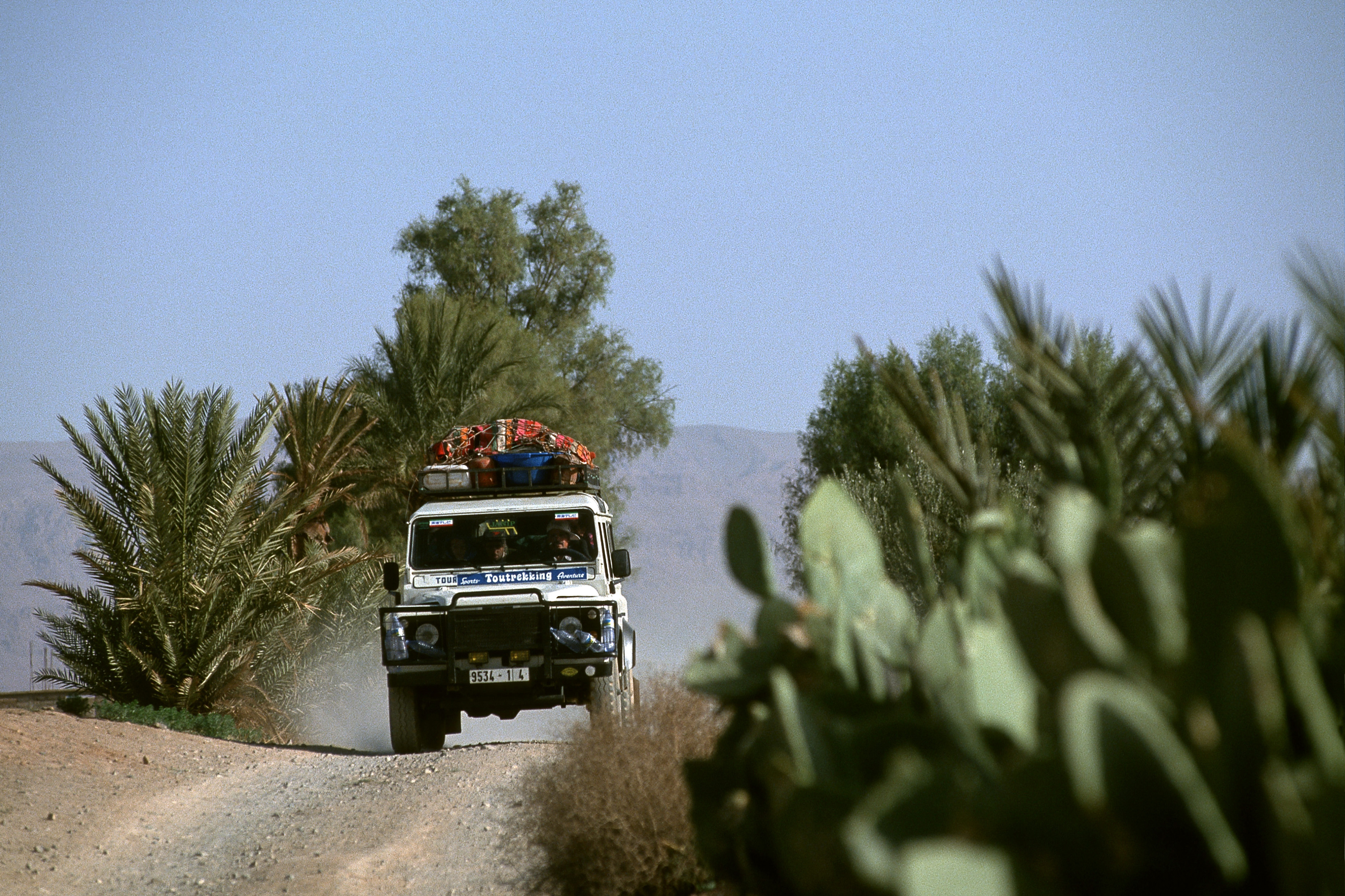Enjoy a jeep safari into the desert