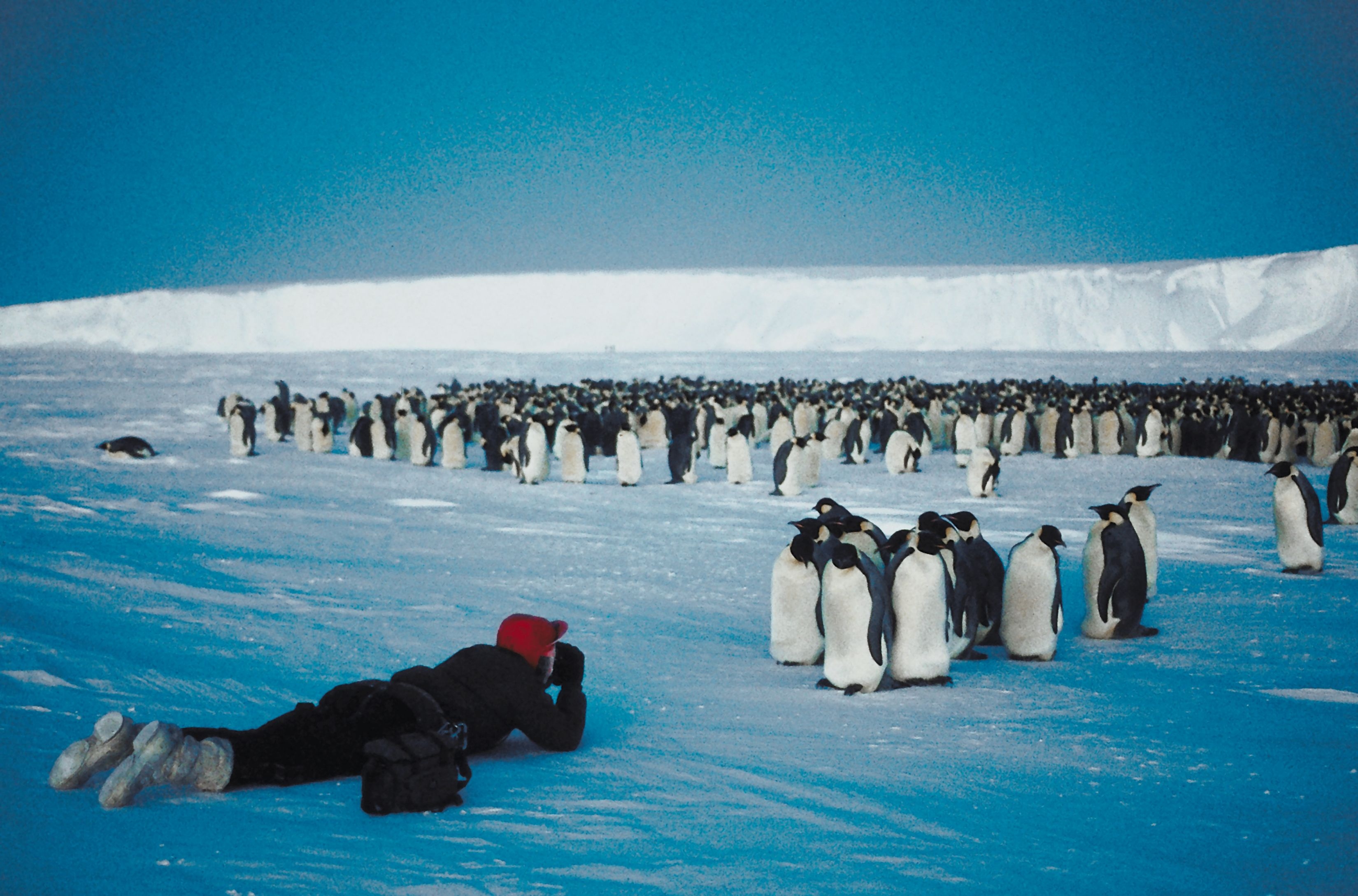 Antarctica is a photographer's dream