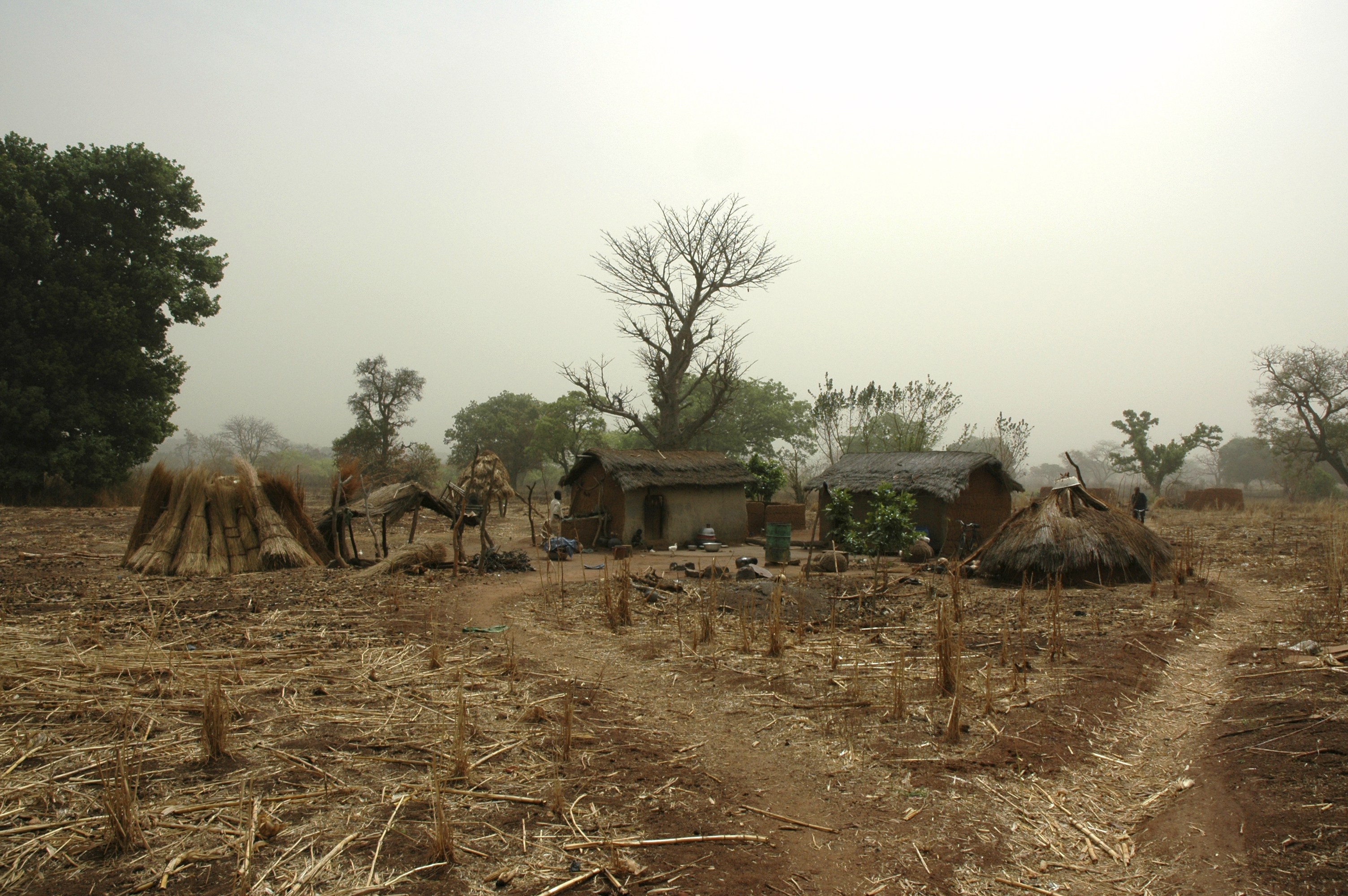 Traditional village hut, Ivory Coast