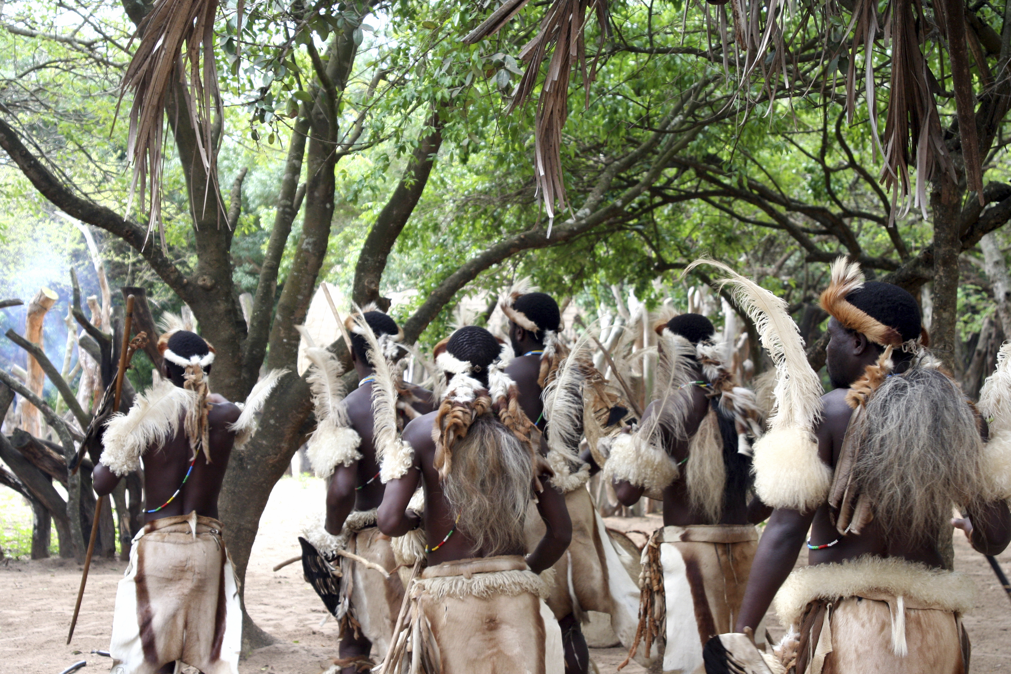 Swazi tribal dance, Swaziland