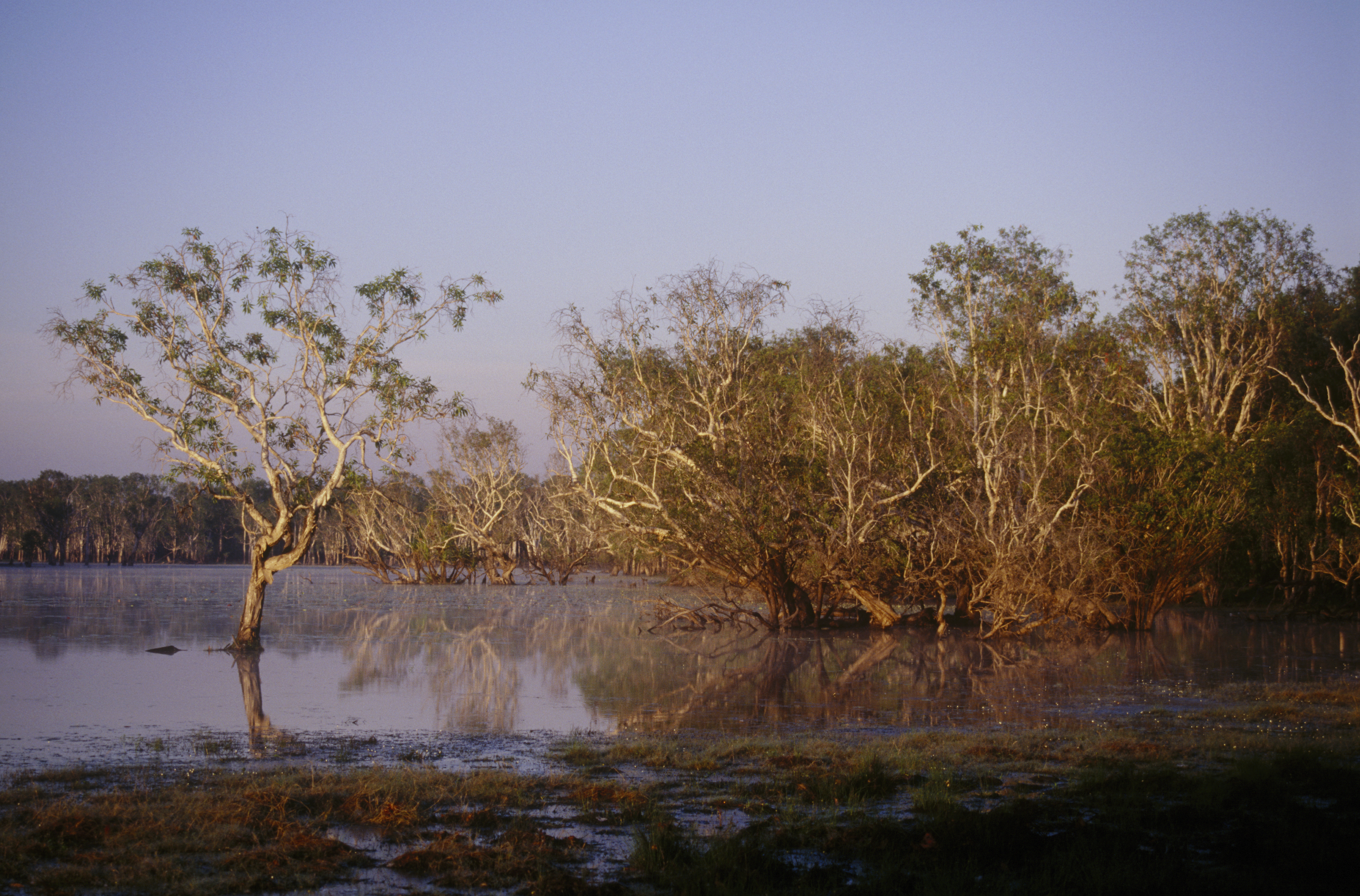 Sandy creek, Kakadu National Park, near Darwin