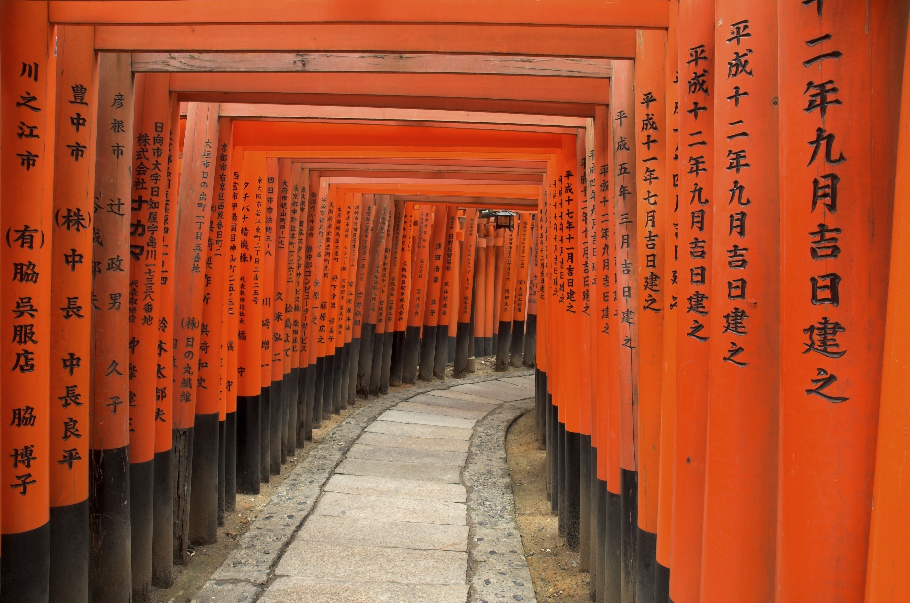Torii gates at Fushimi Inari Shrine, Kyoto, Japan