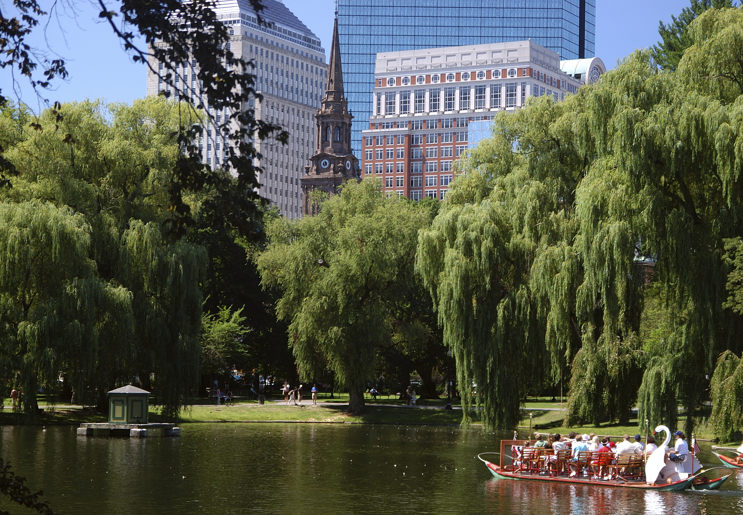 Swan Boats on the Boston Common