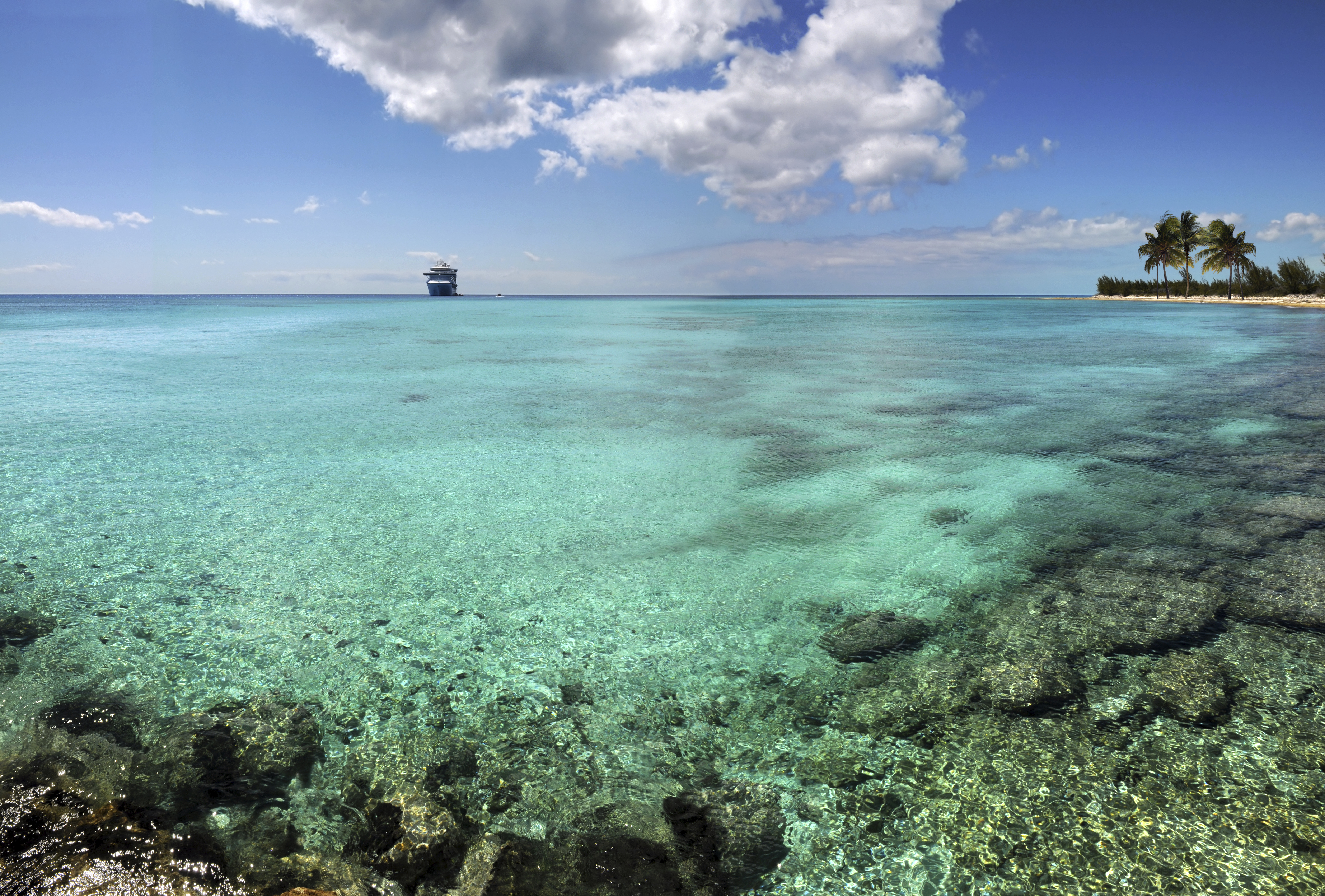 Coral reefs attract divers, Bahamas