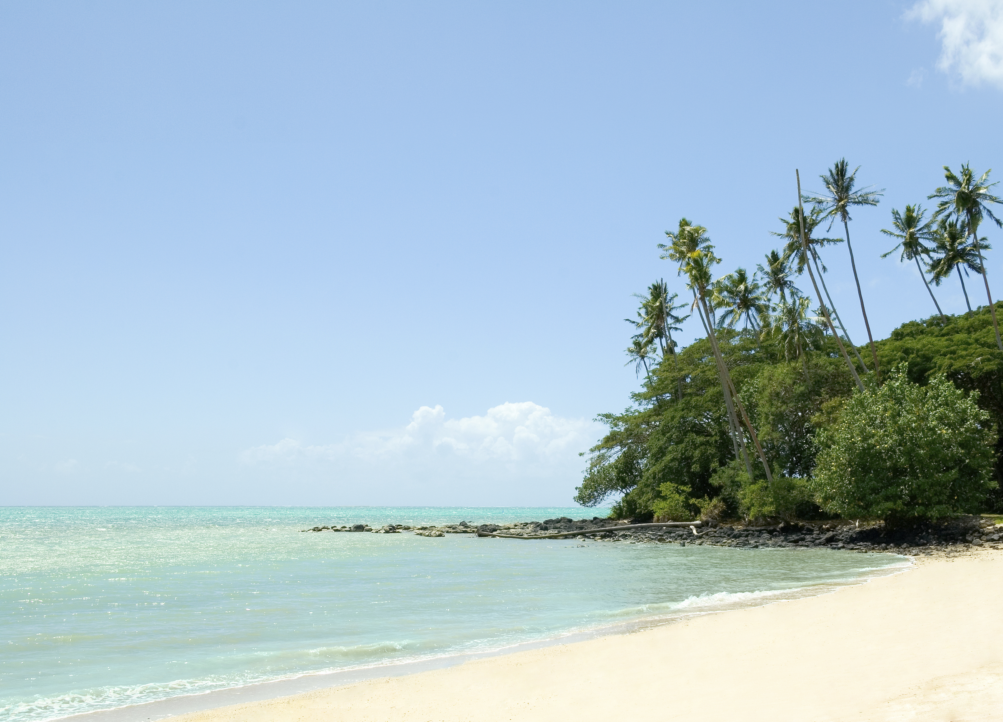 Tropical paradise, American Samoa